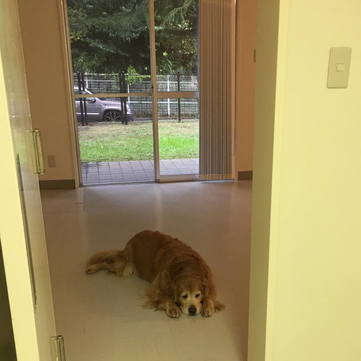 1760db1c 32ca 4fcb 8e63 36d68995eaf1