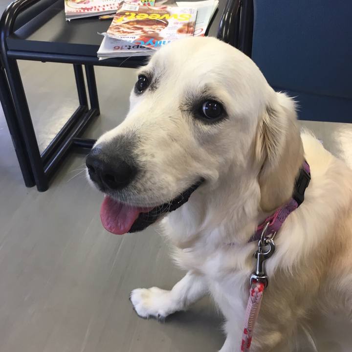 17614453 73ac 4ca7 a2eb b2acc3cfb7ce