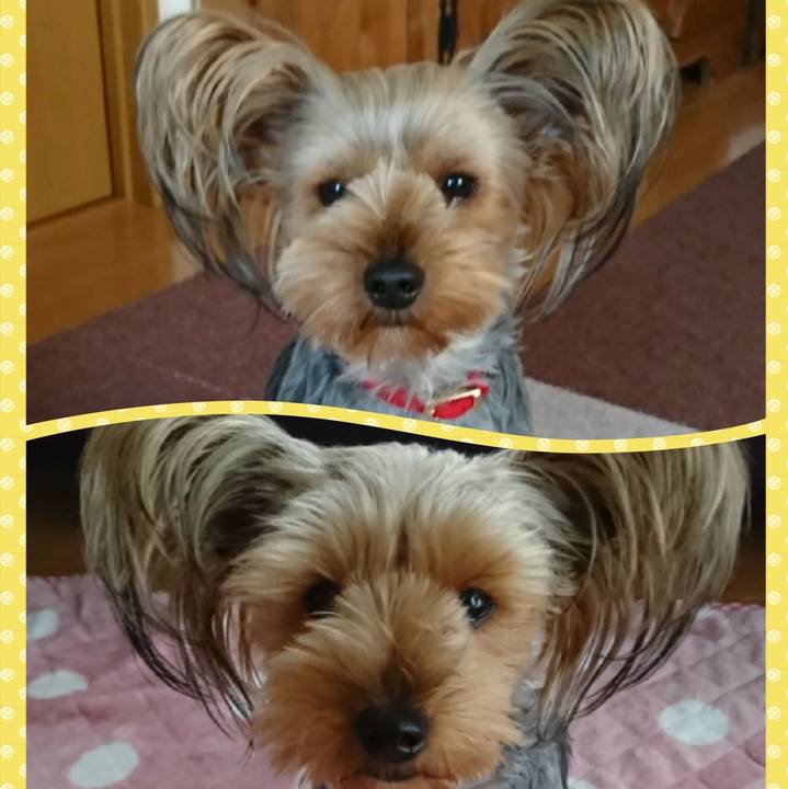 17614818 6078 43a7 a3b3 784a3954aa11