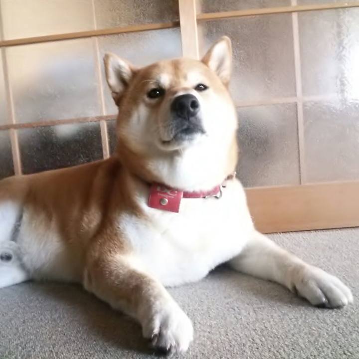 1761660f 4502 41a3 a86d 8e3510baf8d1