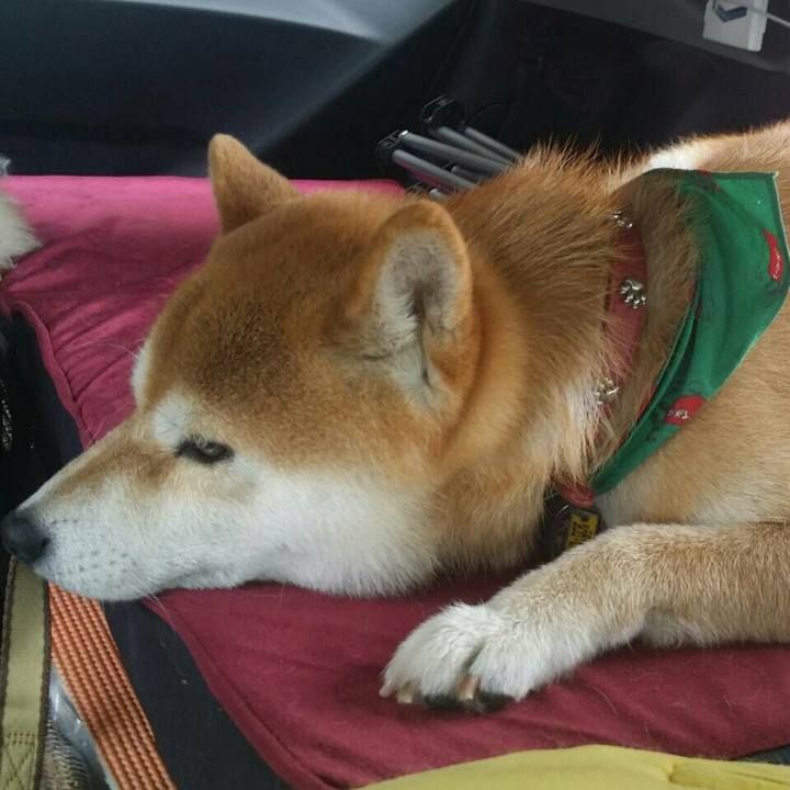 1761722e f5f5 4ddc adf6 9b465e14485b