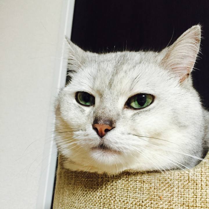 1761fb46 2341 4713 93f2 c7fd63171e2a