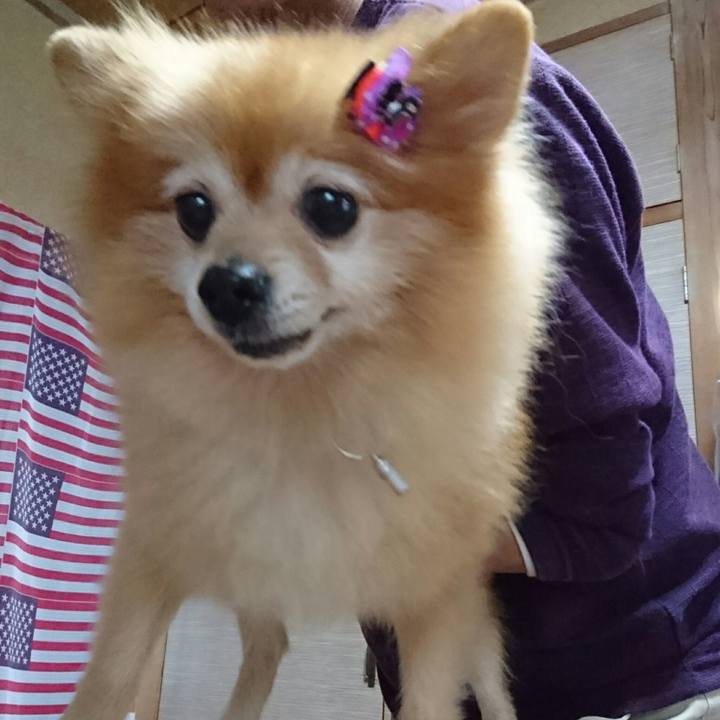 1761fc34 836c 49bd 92e3 6fbd2b2995ec