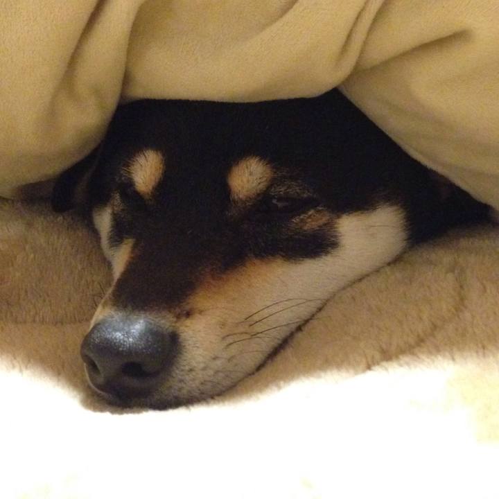 176201b6 234e 42fd 9ab0 c0c578559266