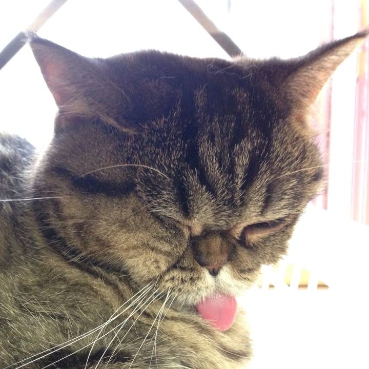 1762352d d131 447b 956c 143f6c067d5e