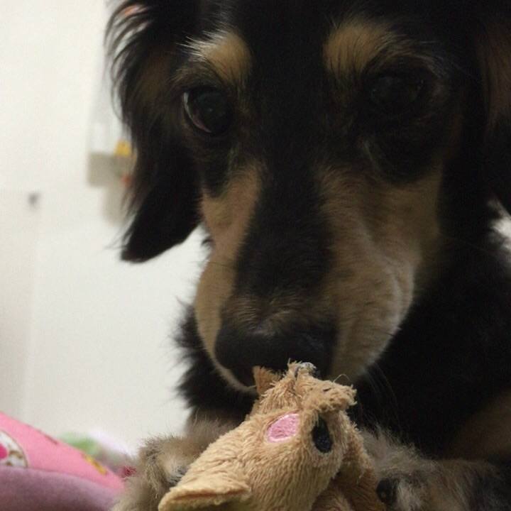 176260d4 a670 4869 afba b045eb028c16