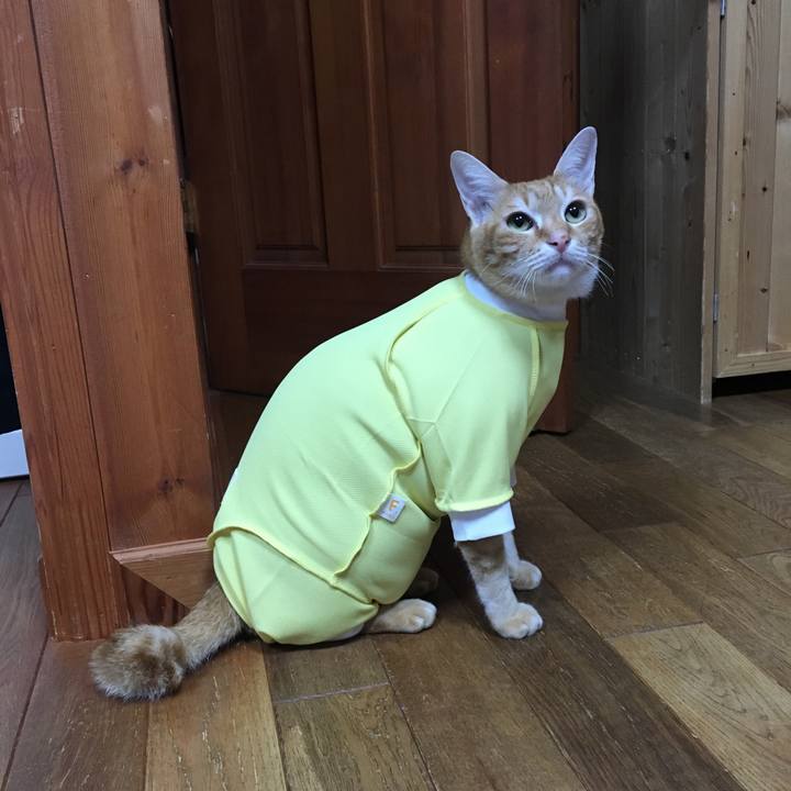 17628075 f48b 4c3b a814 eeaa6e7d10f6