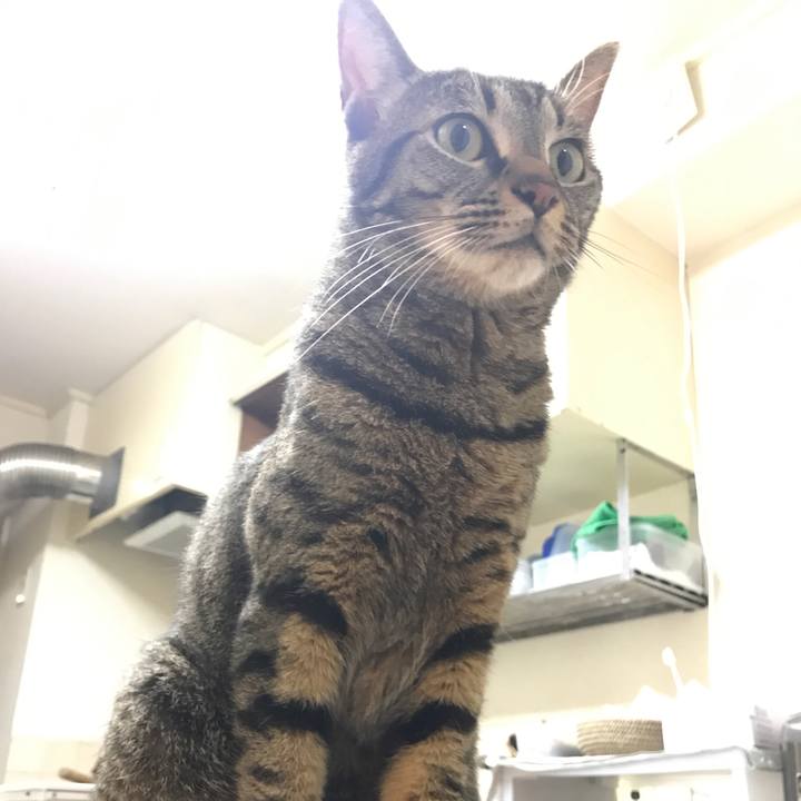 1762844a 490e 411e 9388 4c61bf518cca