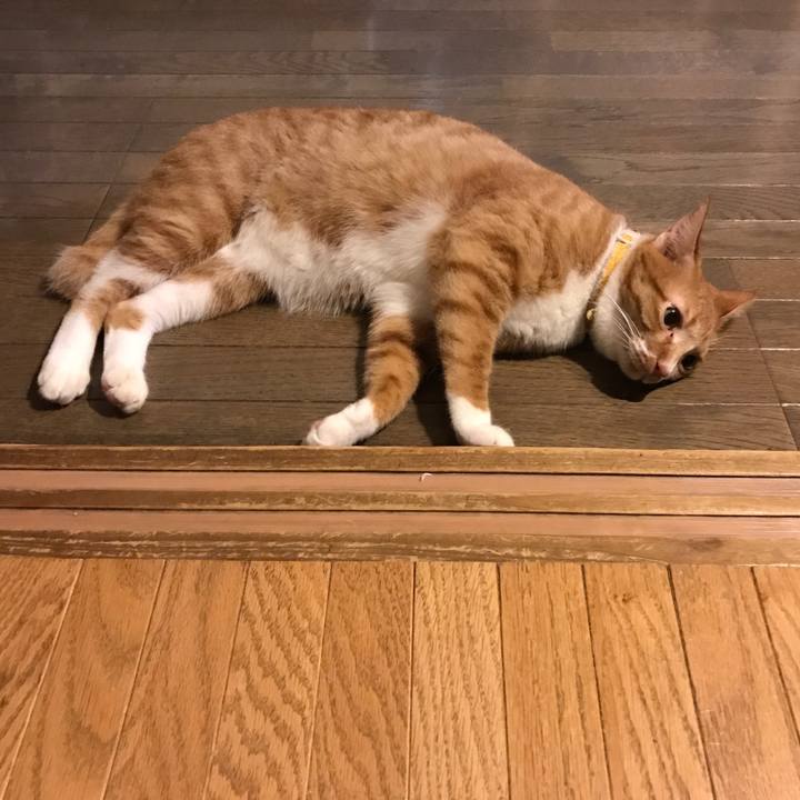 17628544 3a07 46e6 b9ac 7c626a5a3b8c