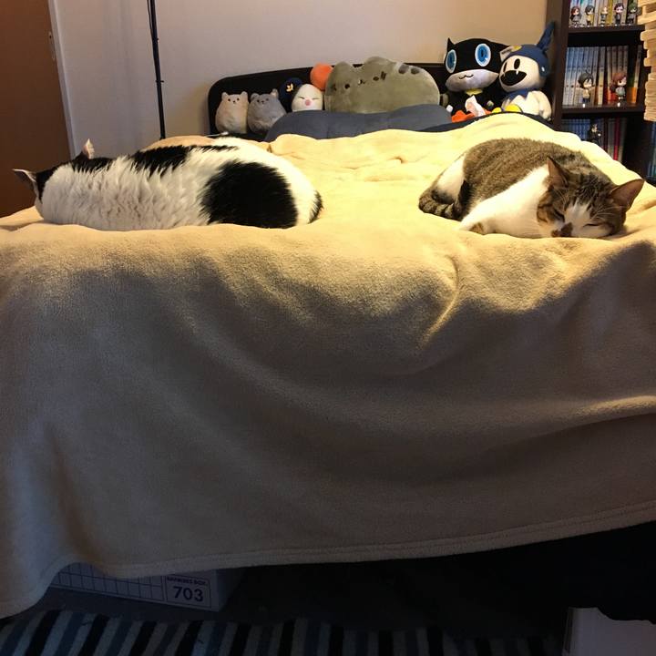 176401b2 194f 4ef2 a908 121e4eaac901