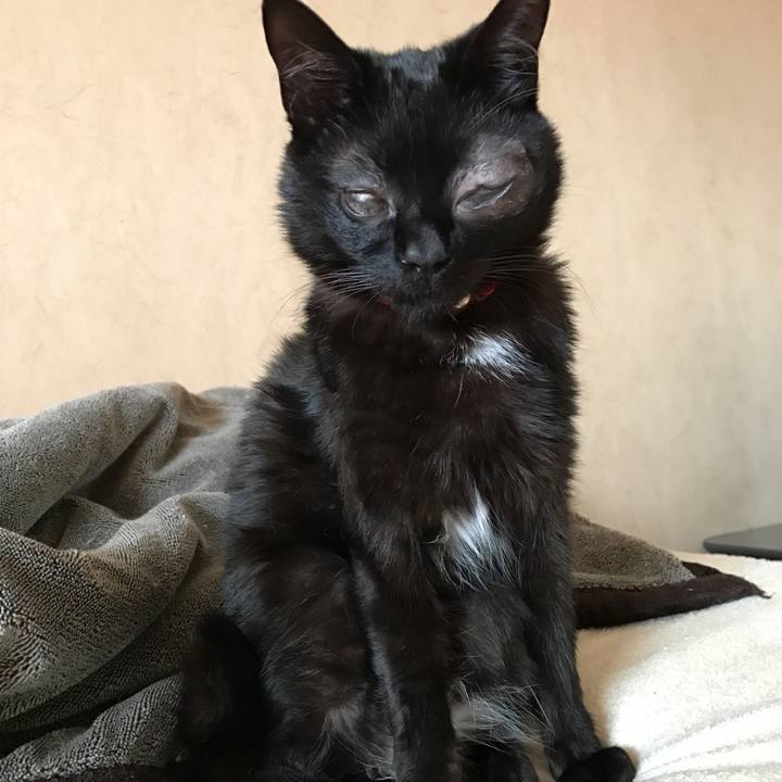 1764753b 40d5 4254 aea2 75bd6dc93a71