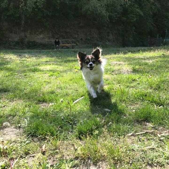 1765249c 7002 4073 8633 fd7ca95ded18