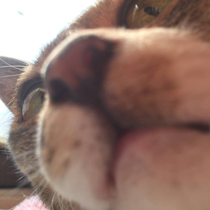 17657017 c86d 4153 b00a 1c041296b2c1