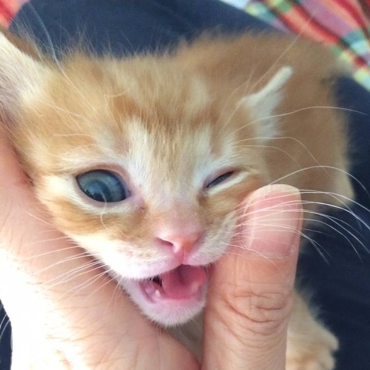 1765ba71 72e9 4f37 b2aa e375ed53e43d