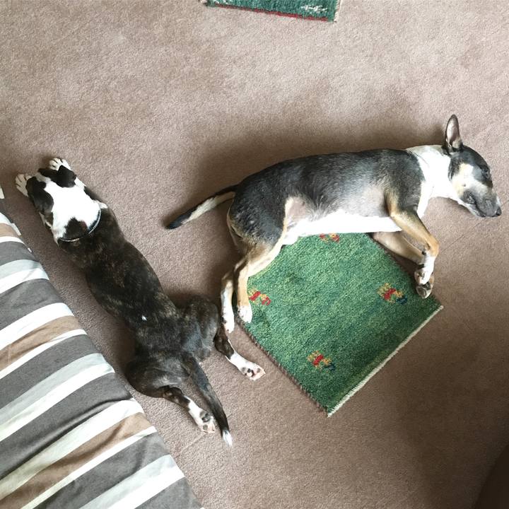 1765f556 cc78 4b87 8935 71b7f1e856eb