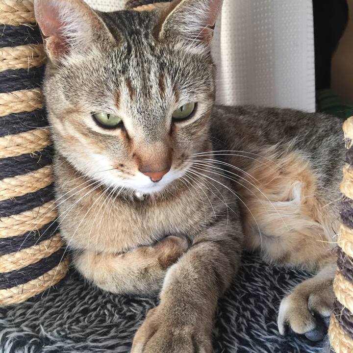 17661510 7055 4105 b872 bdda2d777011