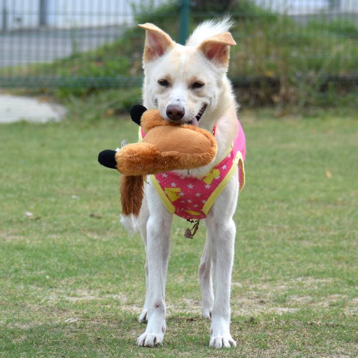 17668ee4 5f75 43e4 b89a 566a57f48c7a