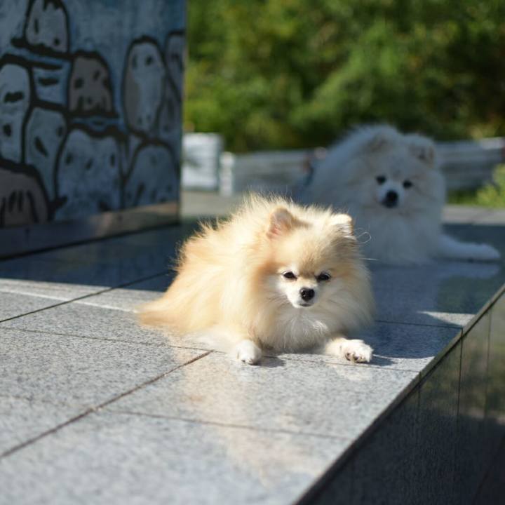 17669714 7615 4a40 a4a9 bf0bb07895cc