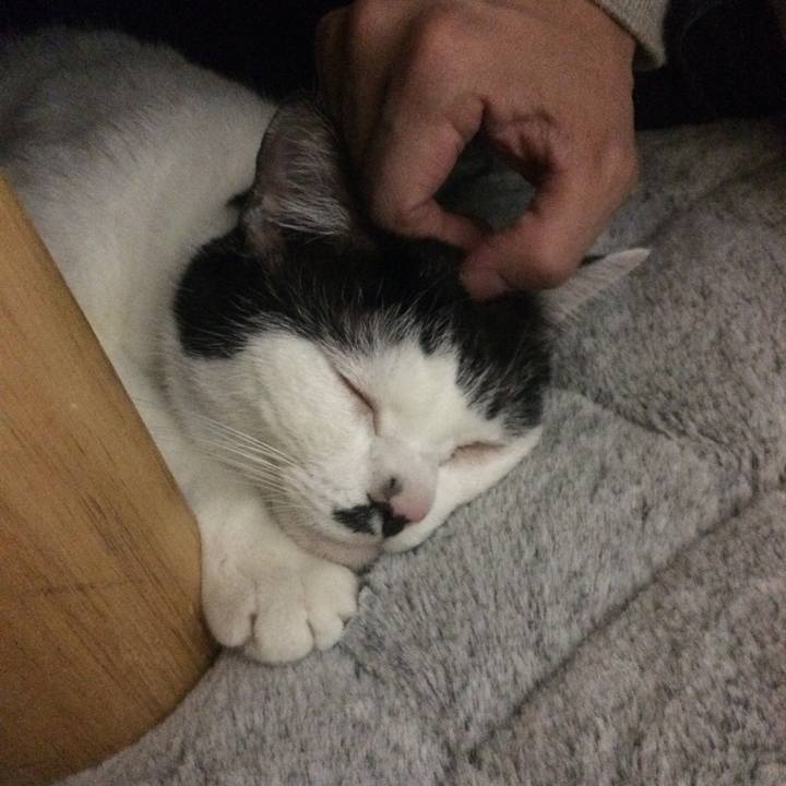 17674e15 9d03 4e3f 8551 4b79f8df0d69