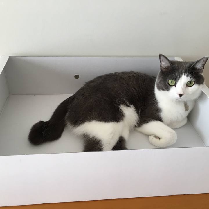 17676a94 7bf1 4ae7 9f3e bc8394a56e2b