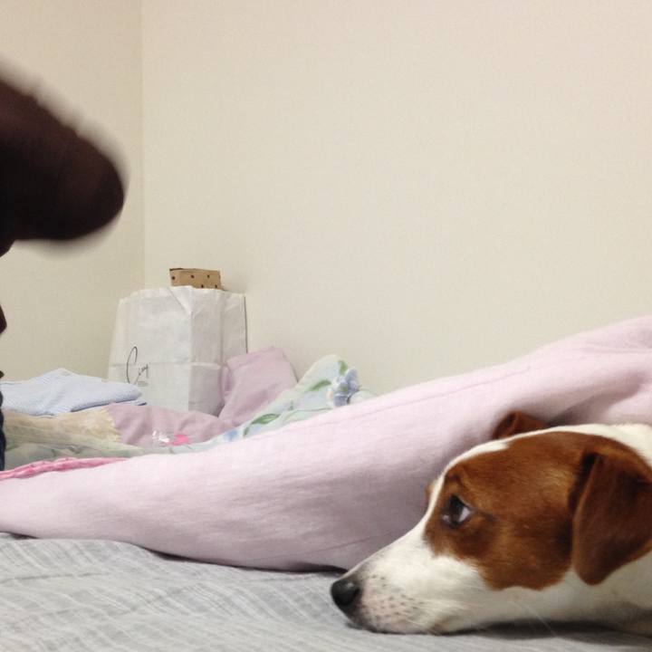 17677e30 045e 4a04 9641 8cac595d44a1