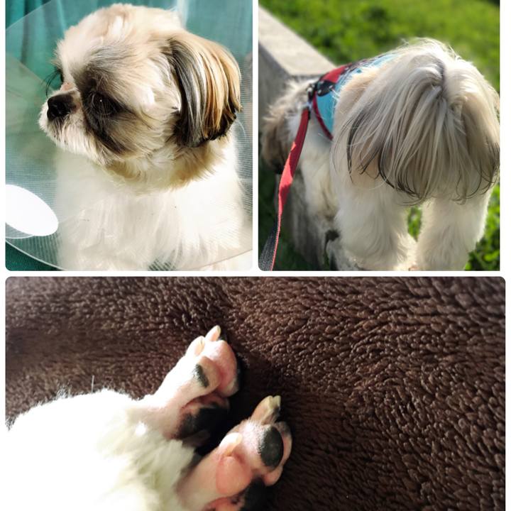 1767ceb2 ba3e 4bc6 8df5 66efff683d26