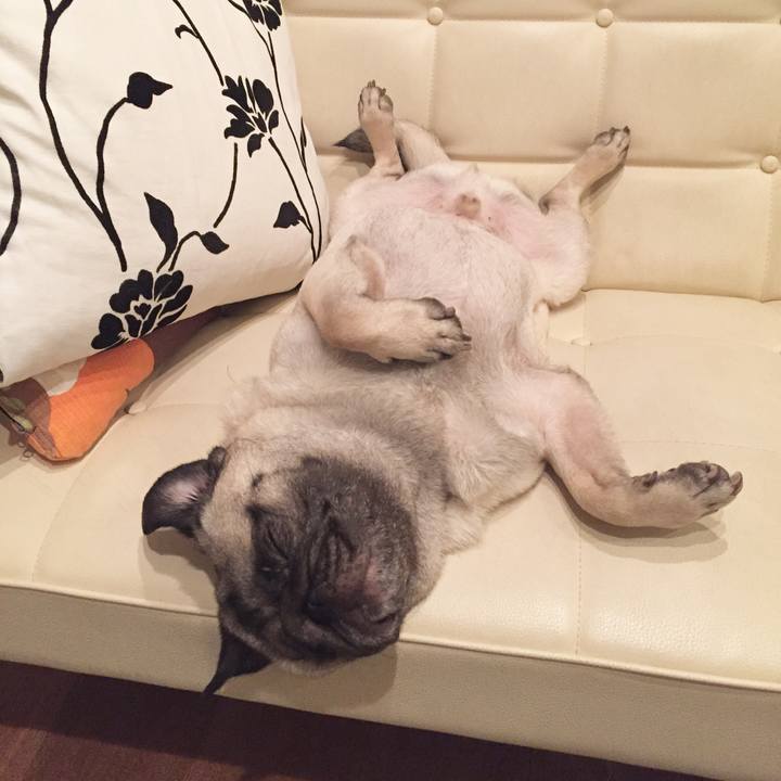 17680fc2 e6da 4be4 bb67 0d8efb4d2c32