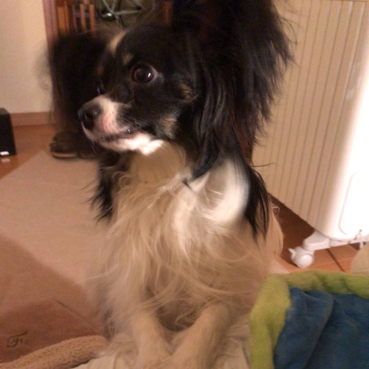 17681904 c171 4aeb b139 f1d4d40d9f2c