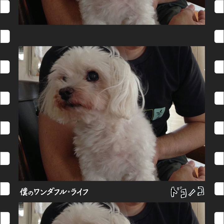 17682569 02b1 4209 94a8 99bb307d26fc