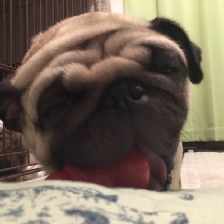 17683b57 328f 418d 93de 10fef9cef5c4