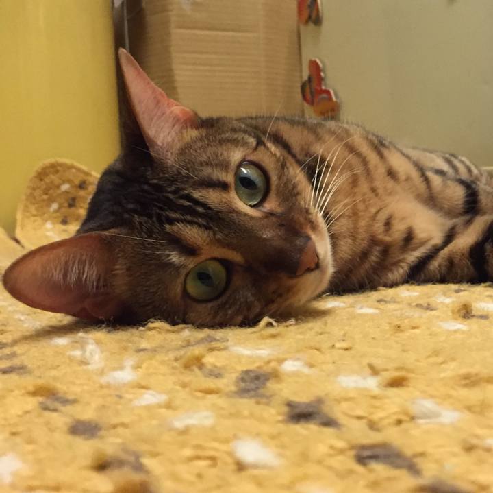 1768663d 8037 410e a3cc 483fd7964dba