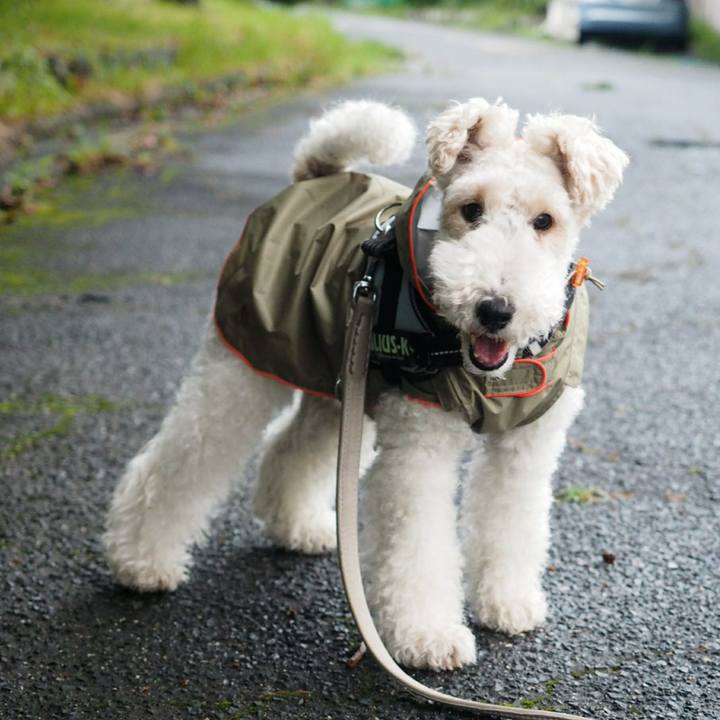 1768807c ec5d 4afe b01e 2ab4795bdb5f