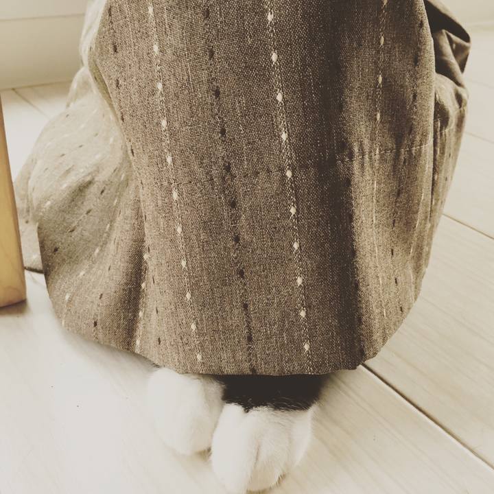 1768b09b 453a 44e7 b534 8fdf3b0912b2