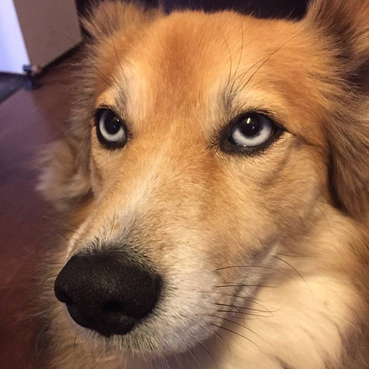 17694c9f 8d8e 4010 a6f0 82551f7f9446