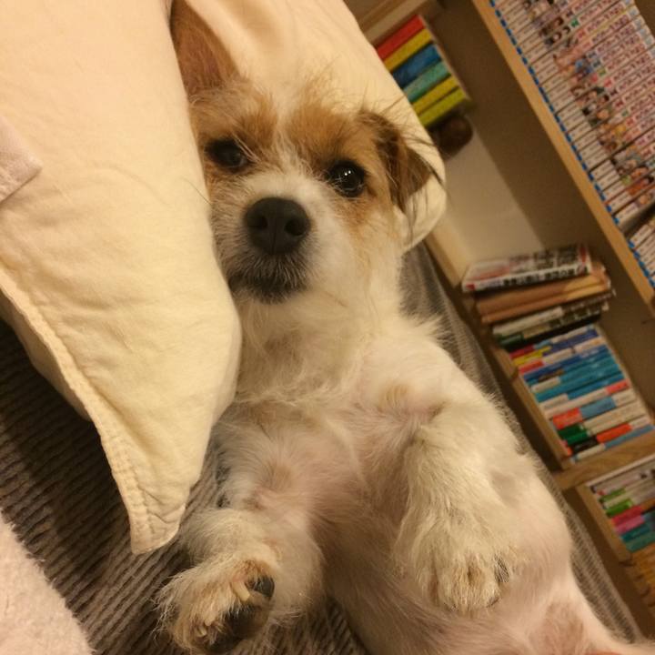 17697d59 a27f 498b 8e4e 04c9c79cf12f