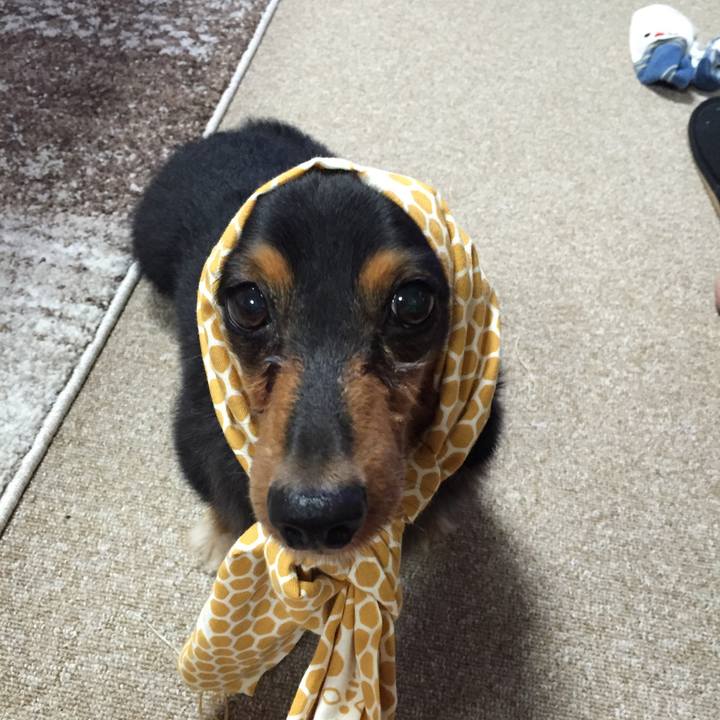 1769f0c4 81ba 4b62 8225 a35b844c7d81