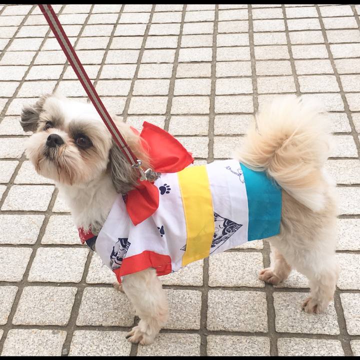 176a2f1d ec3d 4b33 9bee 01f1ac0e88a9