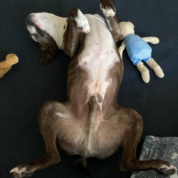 176a9db2 c880 4a32 9ef1 89f551c26234