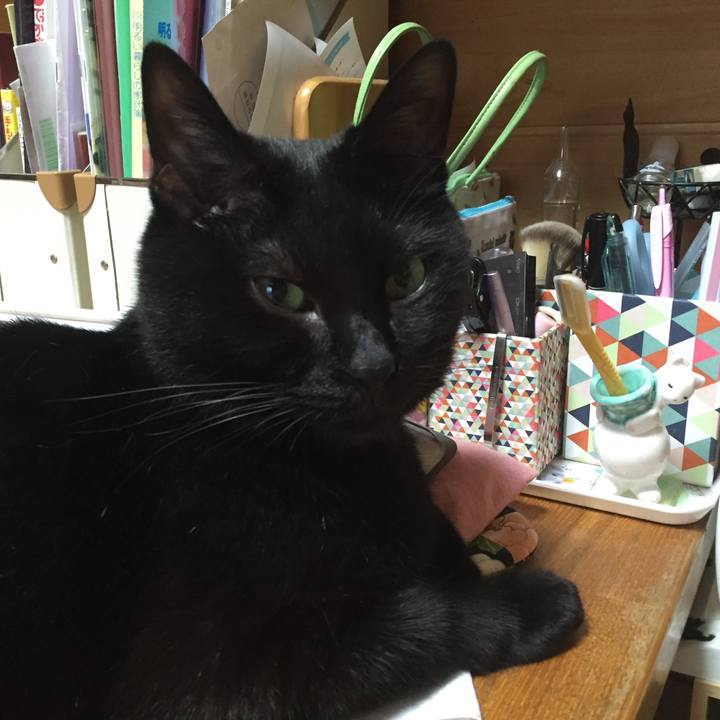 176ad244 8b3d 45d6 bdfd 5e69ceedd4b1