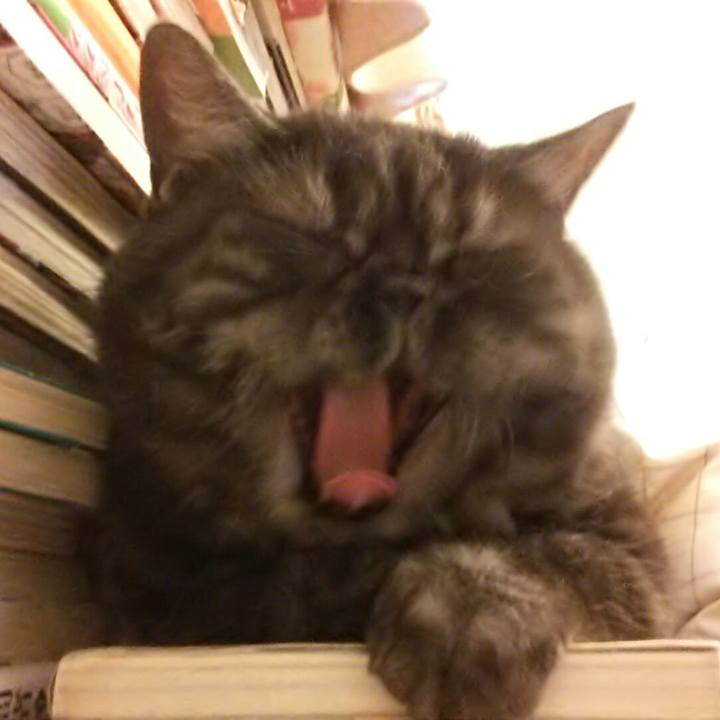 176b91d3 1a3b 4391 a528 8c8328ebb3be