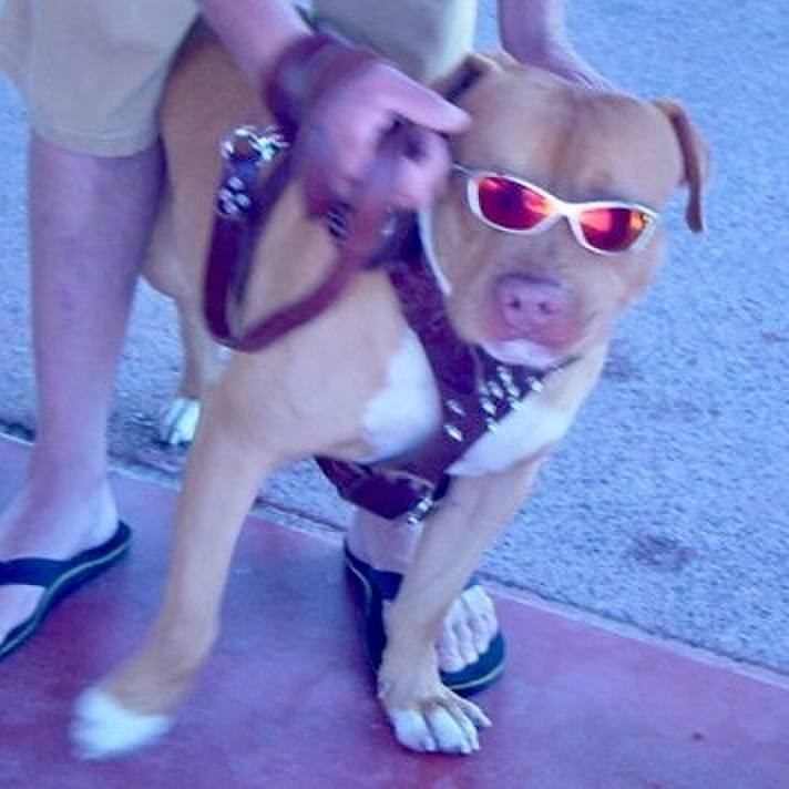 176b9cdf 28bb 4a55 8e7c 7303ef7bb523