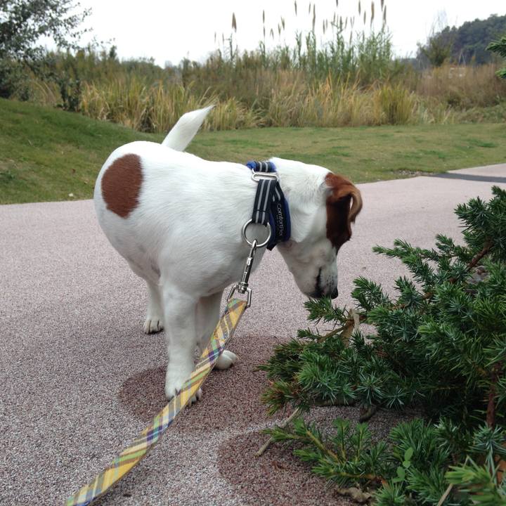 176ba247 3a07 44fd b6e1 424338f2a2a7