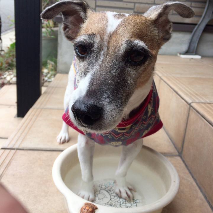 176c3e53 4b92 4979 b940 5a8785e0adc6