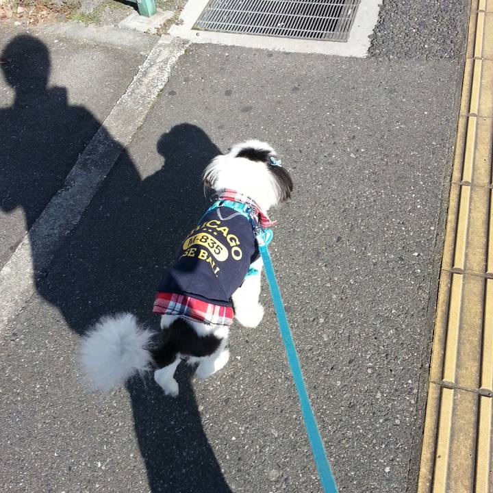 176d91ec a03d 48b3 8c30 19fe4ad62a05