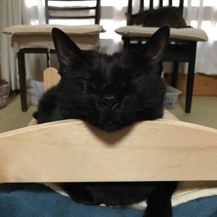 176da48c d827 4989 bfae 70df6971a4ee