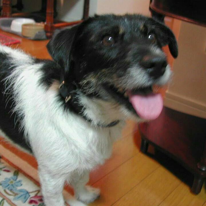 176df431 7f87 4bee bffe e040ebd7b720