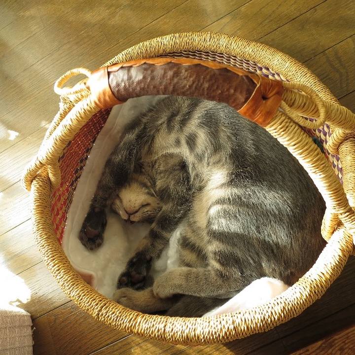 176e5bbd 73d2 4816 bdd9 ddc77ebbeac1