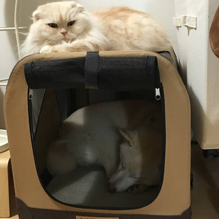 176ec293 3e7d 4588 899a c4ebab85e8f0