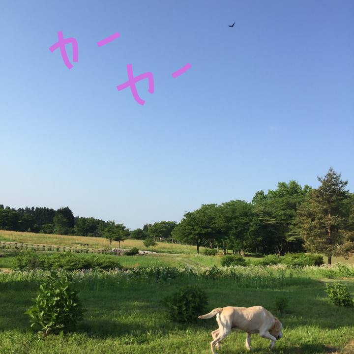 176ee604 260b 415f b8c1 e9d1c0cd8beb