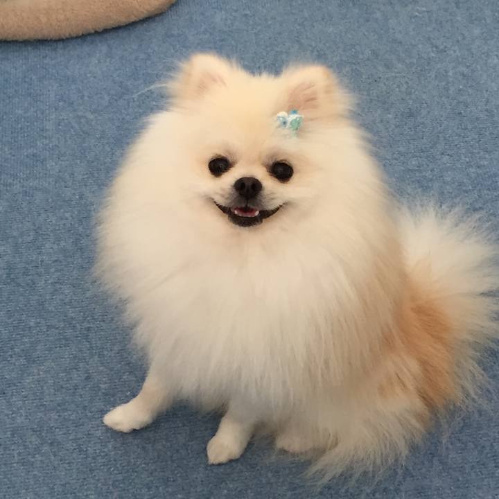 176f07f3 ce4e 4721 8420 196034fbf296